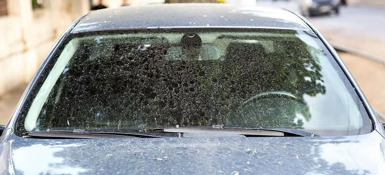 The windshield is dirty,causing jumping or not being wiped cleanly.